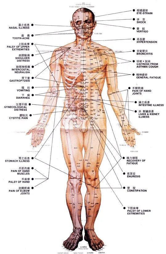 Названия точек человека. Точки на теле человека китайская медицина. Акупунктурные точки на теле человека. Точки акупунктуры на теле человека. Точки акупунктуры на теле человека атлас.