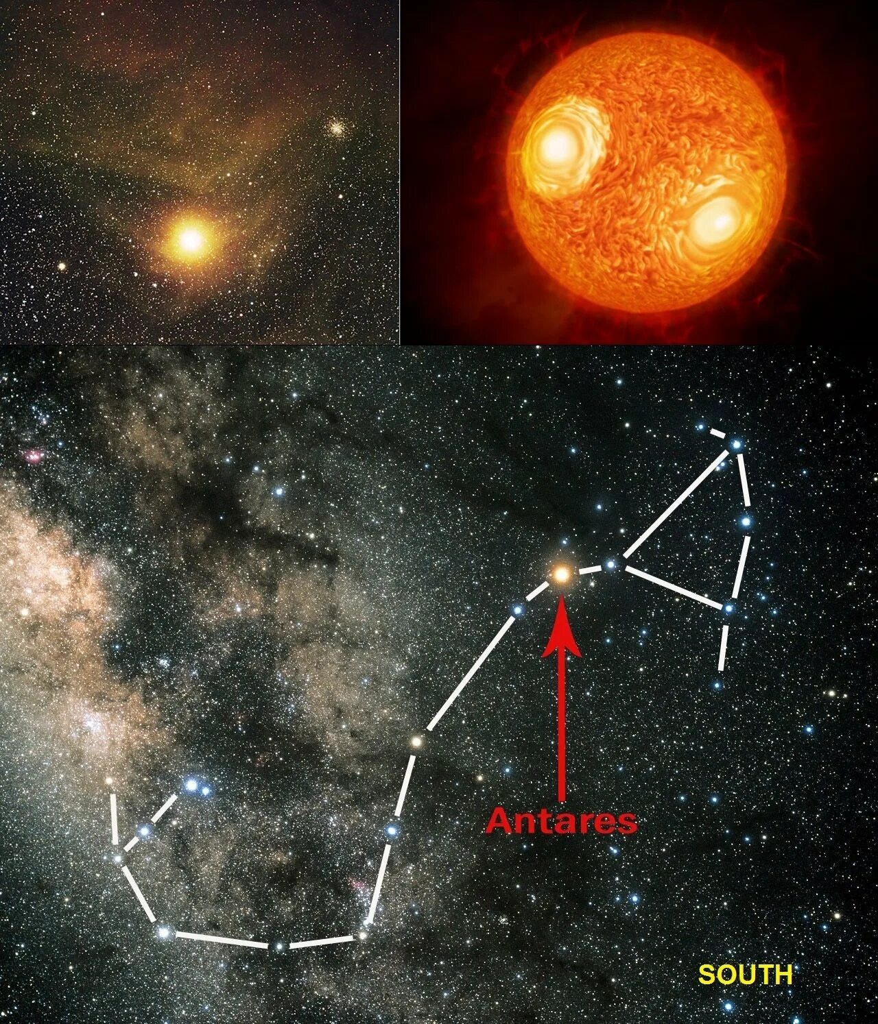 Звезда Антарес в созвездии скорпиона. Звезда сверхгигант Антарес. Звезда Антарес в созвездии скорпиона какого цвета. Антарес - самую яркую звезду, a, в созвездии скорпиона. Антарес это