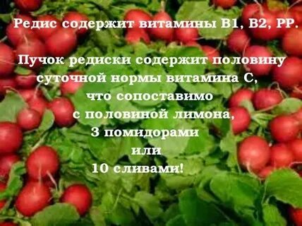 Какие витамины в редиске