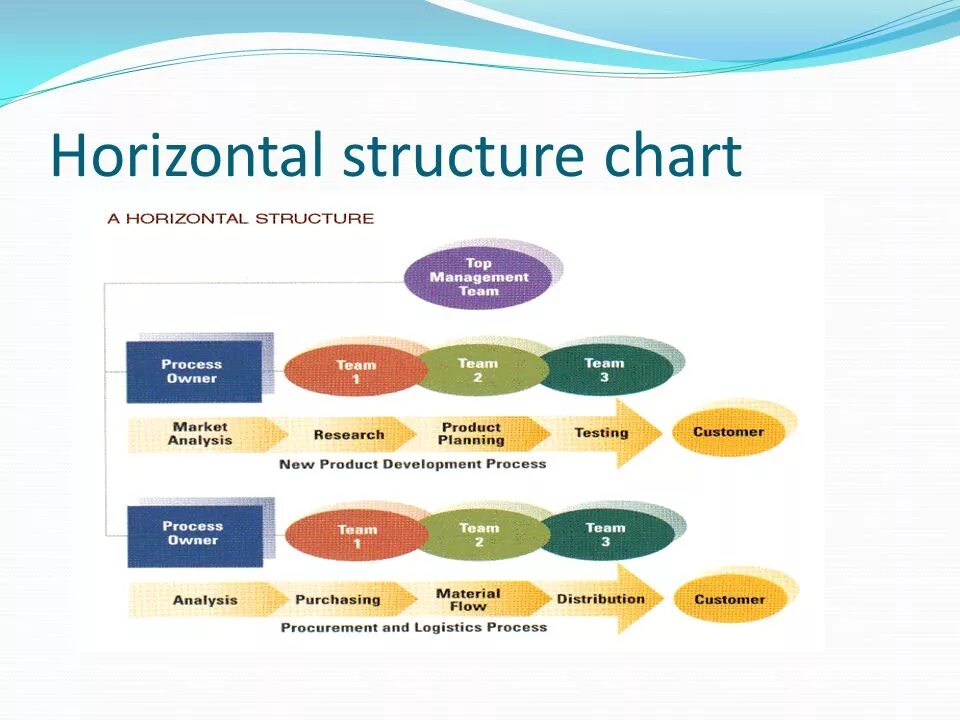 Presentations structure. Horizontal structure. horizontal organization structure. horizontal structure management. horizontal organization structure insurance company.