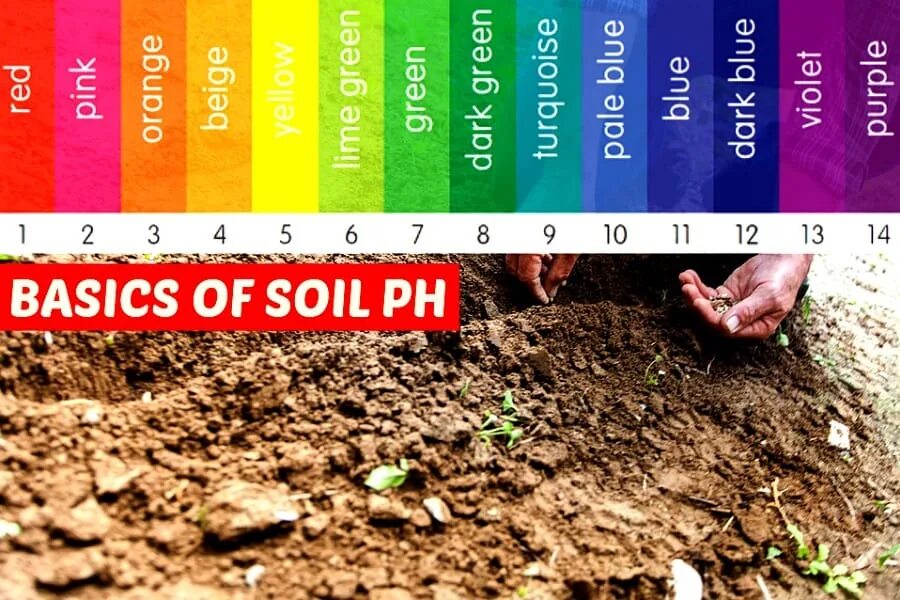 Тест удобрения 6 класс. PH Soils. ПШ почвы. Красноцветные почвы. Экспертиза почвы.