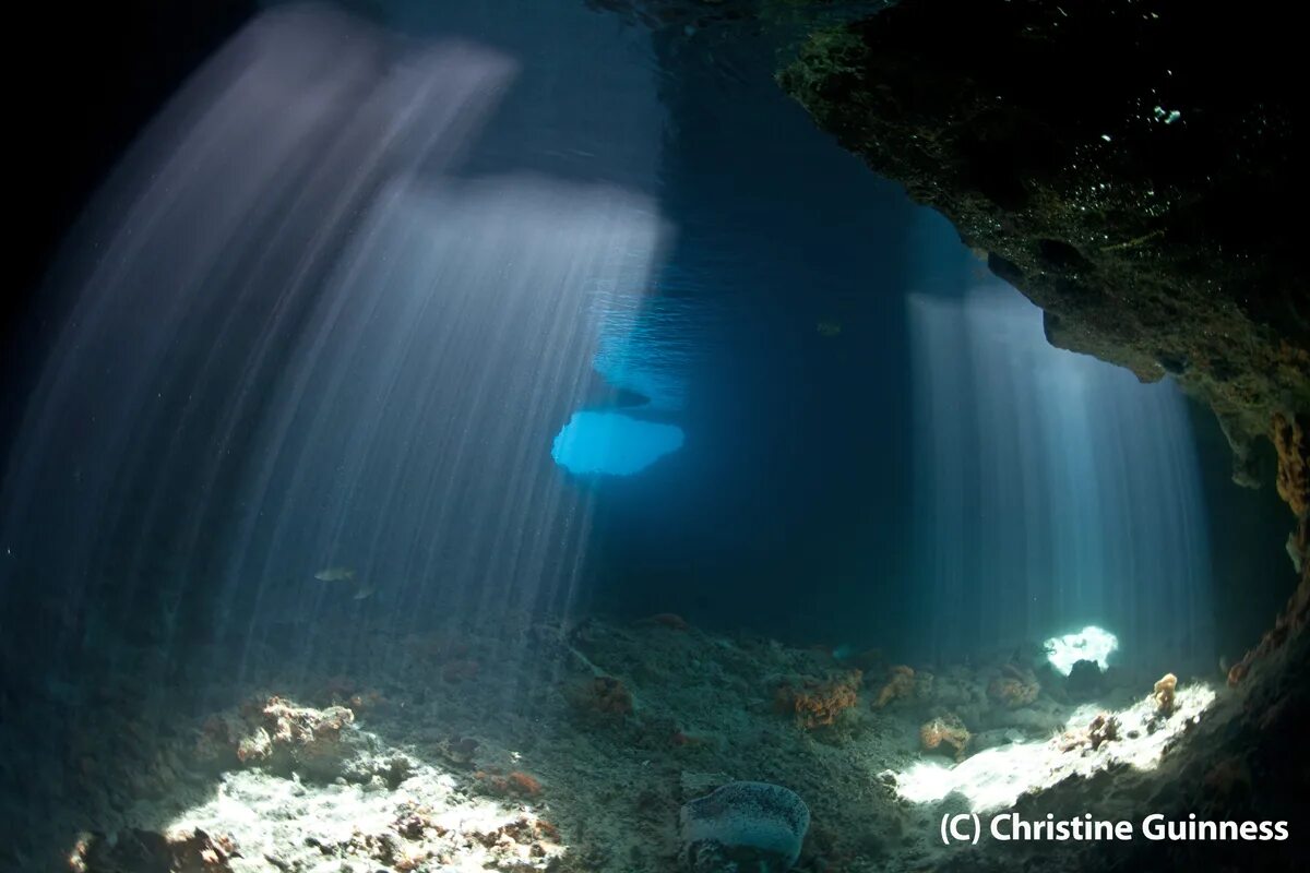 На дне воздушного океана. Подводные пещеры самые загадочные. На дне Тихого океана. Дно Тихого океана. Необъяснимое с дна океана.