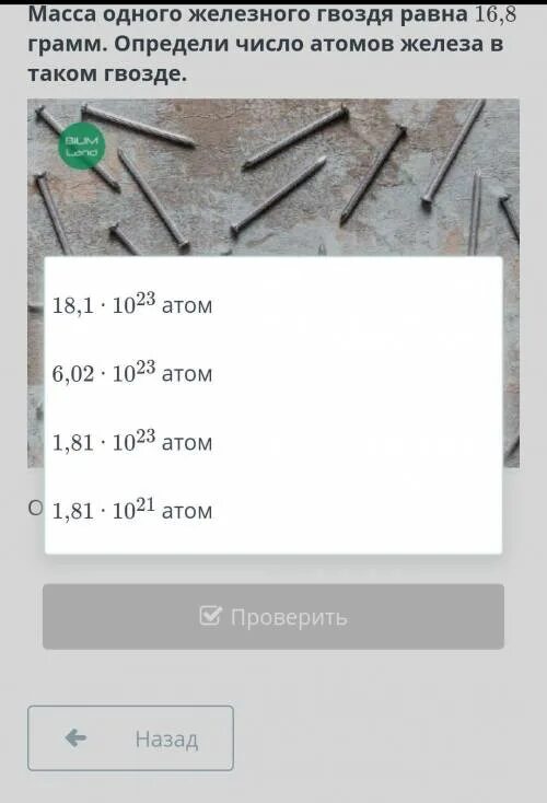 Число атомов в железе