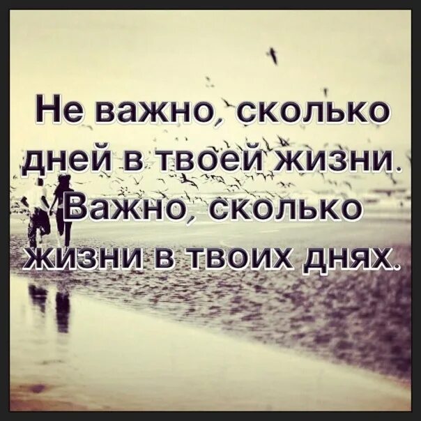 Важно сколько жизни в твоих днях. Неважно сколько дней в твоей жизни важно. Не важно сколько дней в твоей жизни. Не важно сколько дней в твоей жизни важно сколько жизни. Неважно сколько дней