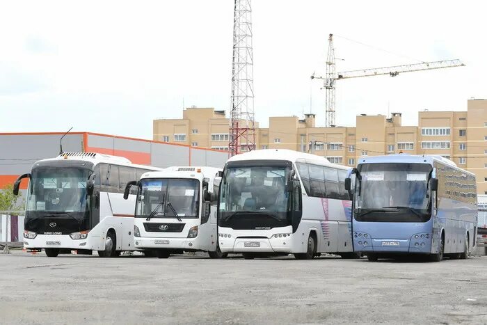 Екатеринбургский автобус. Маршрутка екатеринбург. Екатеринбург сим автобус. Зеленый автобус. Екатеринбург сим автобус.