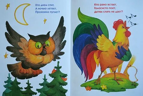 Загадка про сову