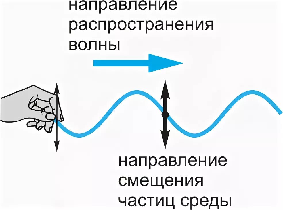 Направление в котором распространяется волна. Направление распространения волны. Направление распространения продольной волны. Направление поперечной волны. Направление колебаний направление распространения волны.