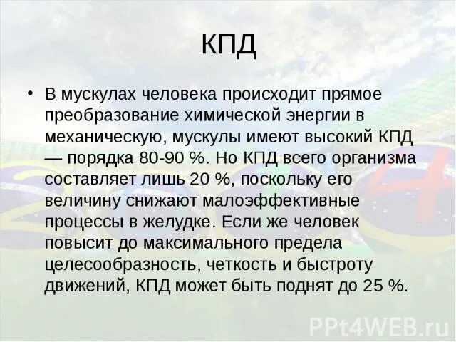 Высокий кпд. КПД человека. Коэффициент полезного действия человека. КПД работы мышц. КПД человеческого организма.