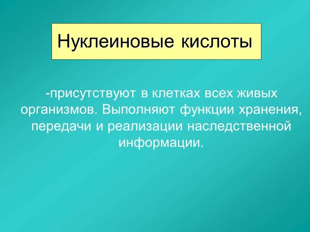 Функции нуклеиновых кислот.