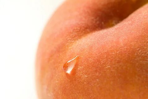 Вид киски персик