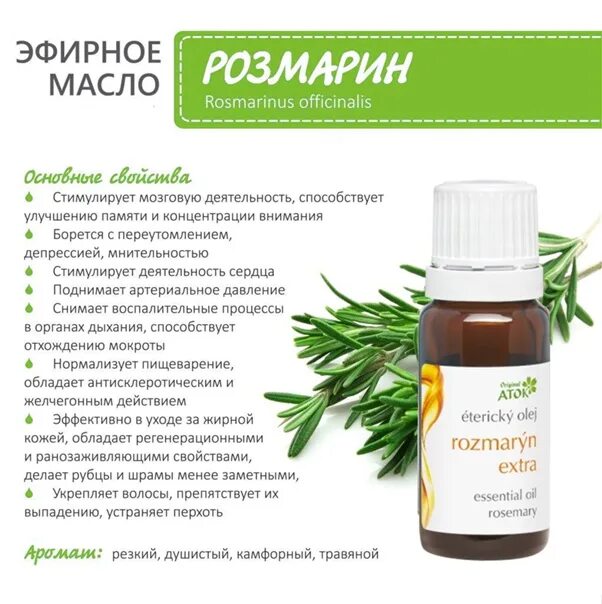 Розмариновая вода. Розмарин цветок комнатный. Розмариновая вода для волос. Rosmarinus officinalis. Розмариновая вода для волос.