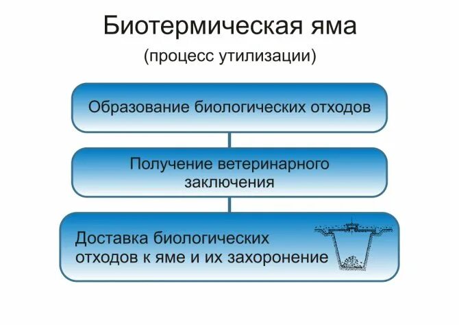 Санитарные правила биологические отходы. Схема утилизации биологических отходов. Яма для биологических отходов. Санитарные правила по утилизации биологических отходов. Утилизация биологических отходов в яму.