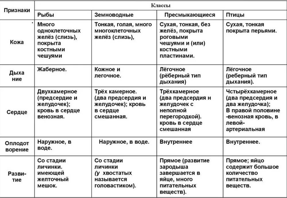 Класс хрящевые и костные рыбы таблица. Сравнительная таблица классов рыб. Таблица система органов особенности строения земноводных. Многообразие костных рыб таблица. Общая характеристика костных и хрящевых рыб таблица.