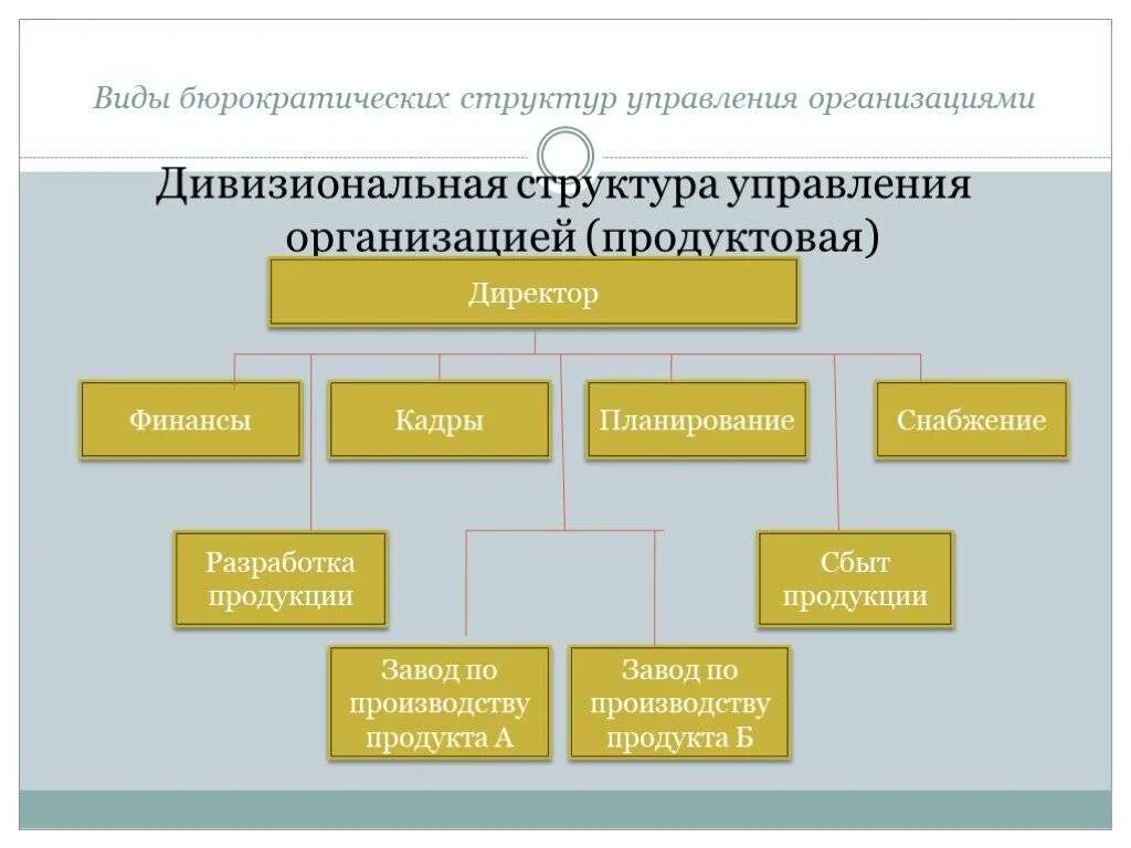 Организация ее виды структура. Типы структур управления организацией. Организационная структура организации виды. Тип организационной структуры управления организацией. Типы организационных структур фирмы.