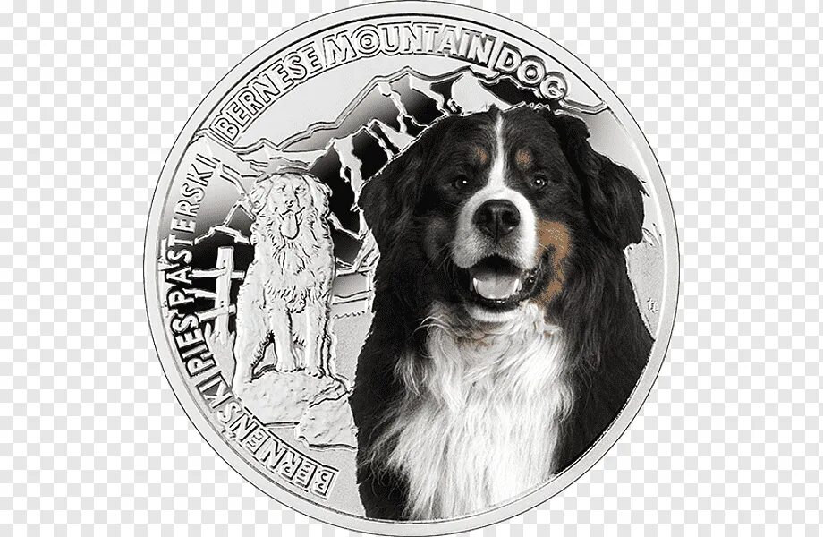 Bendog монета. Бернский зенненхунд. Бернский зенненхунд породы собак. Монета порода собак. Юбилейные монеты собака.