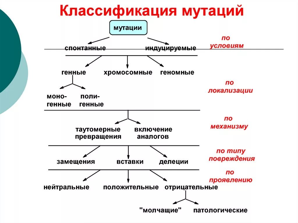 Классификация генных мутаций таблица. Классификация мутаций по причинам. Классификация мутаций по уровню изменения генетического материала. Причины мутации классификация мутаций.