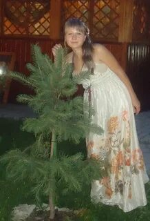 Семенова тула