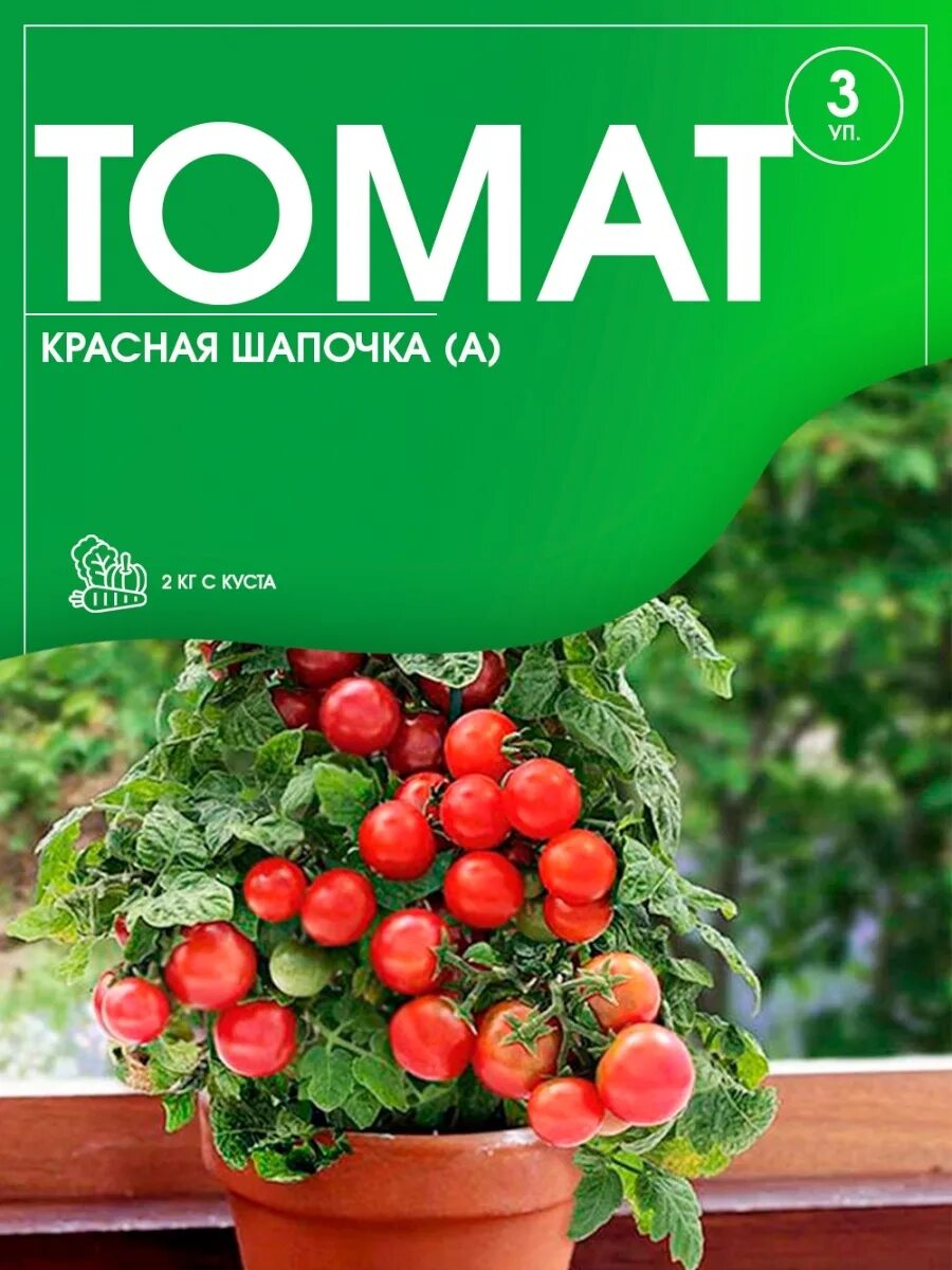 Томат красная шапочка. Семена томат красная шапочка. Томаты четыре лета красная шапочка. Супердетерминантный сорт красная шапочка.