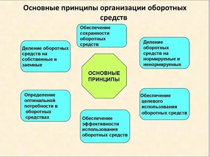 Общие принципы организации это