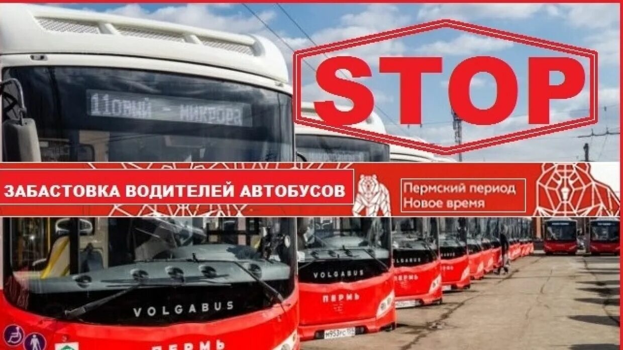 Работа автобус пермь. Транспортная реформа в Перми трамвай. Забастовка автобусов. 4 Автобус Пермь. 68 Автобус Пермь.