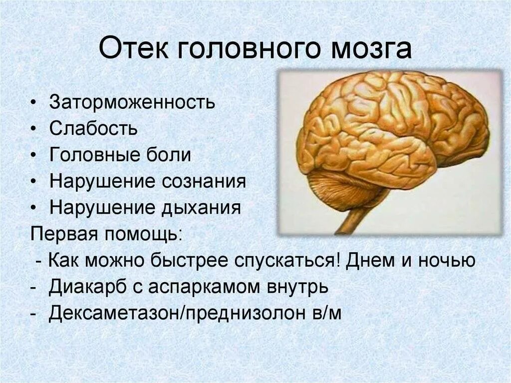 Отек головного мозга операции. От отека головного мозга. отек набухание головного мозга.