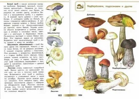Информация о определителе