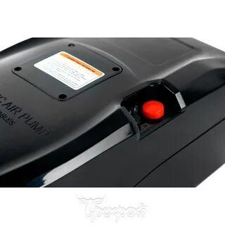 Bd 80