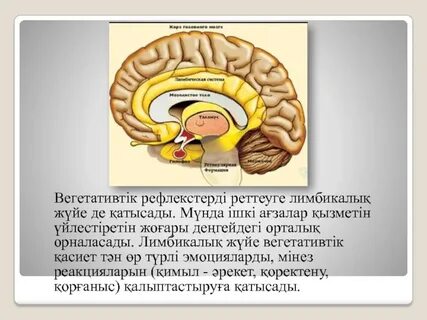 Жас нудистердің порносы