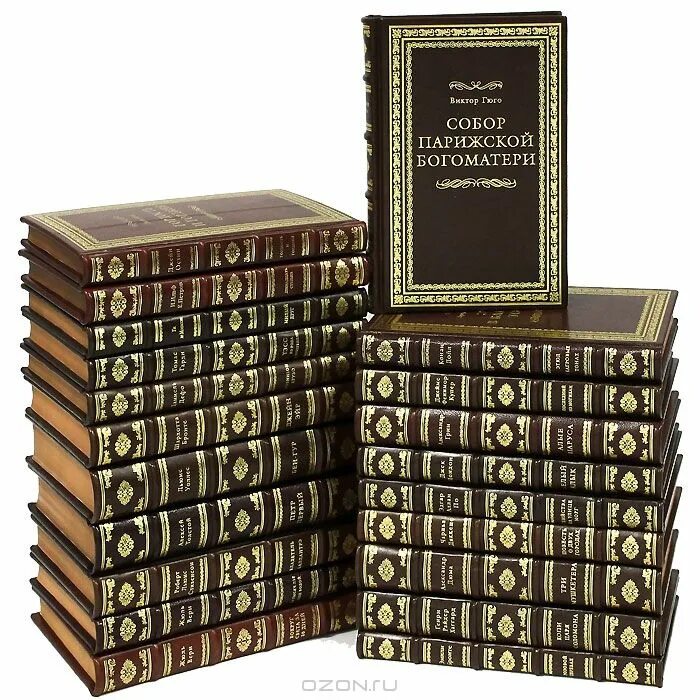 Книги золотой фонд мировой классики. Книги золотой фонд мировой классики. Книга про салтыкову. Отечественная и мировая классика. Издание книг классика.