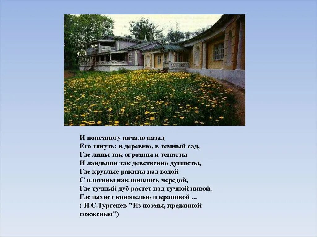 Родина Тургенева. Тургенев о родине. Тургенев стихи о родине. Тургенев стихотворение Родина. Стихотворение тургенева деревня