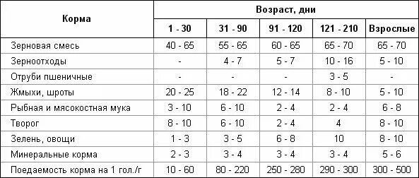 Таблица рациона питания для индюков. Корм для индюков Биг-6 норма кормления комбикормом. Рацион кормления индюков таблица. Рацион питания для индюков с 1 месяца. От 2 недель возраст от