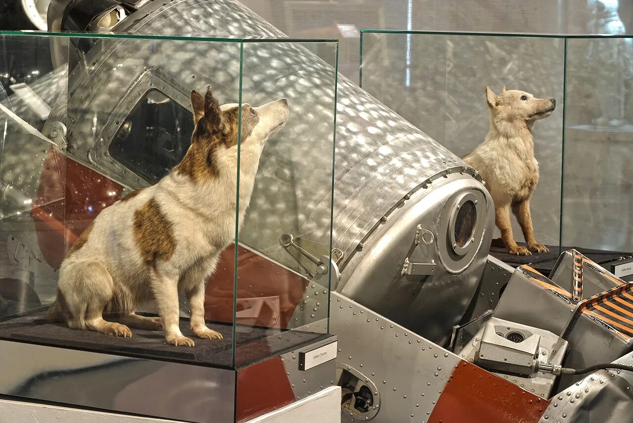 Конструктор первых пилотируемых космических. Преимущества пилотируемых космических станций. Космический корабль аполлон 11. Тмк-1 марс. Ркк энергия пилотируемый корабль.