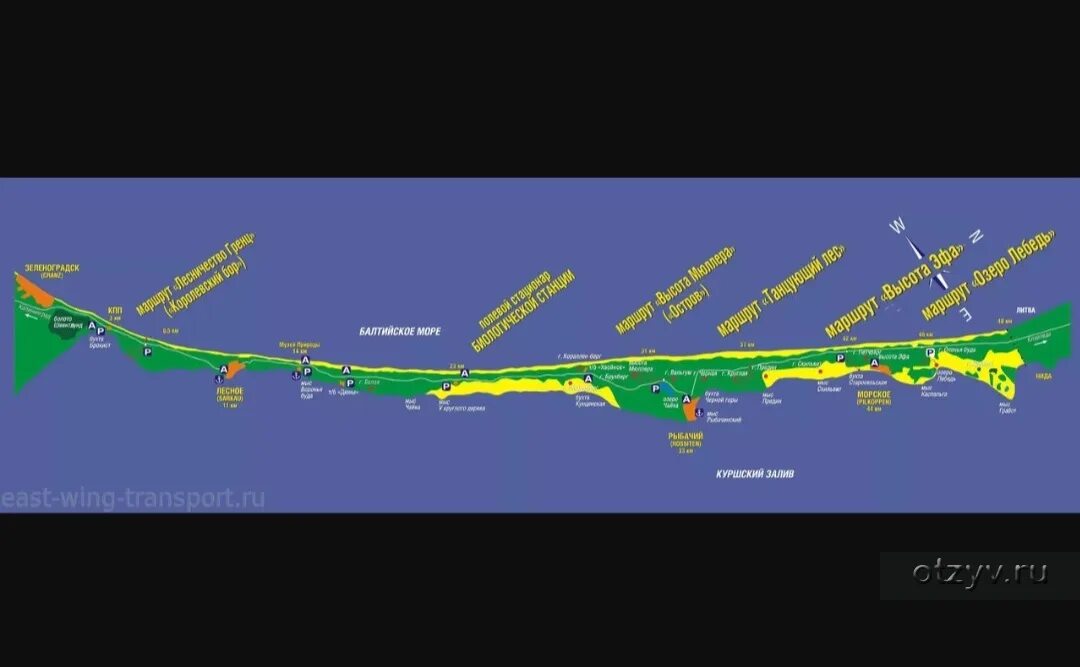Зеленоградск остановка автобуса. Куршская коса карта маршрутов. Маршруты Куршской косы на карте. Куршская коса маршруты пешеходные. Куршская коса маршрут.