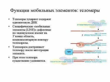 Мобильные компоненты