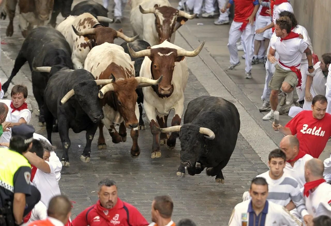 Побег от быка. Праздник Святого Фермина (San Fermin Festival). Бег Быков в Испании по улицам.