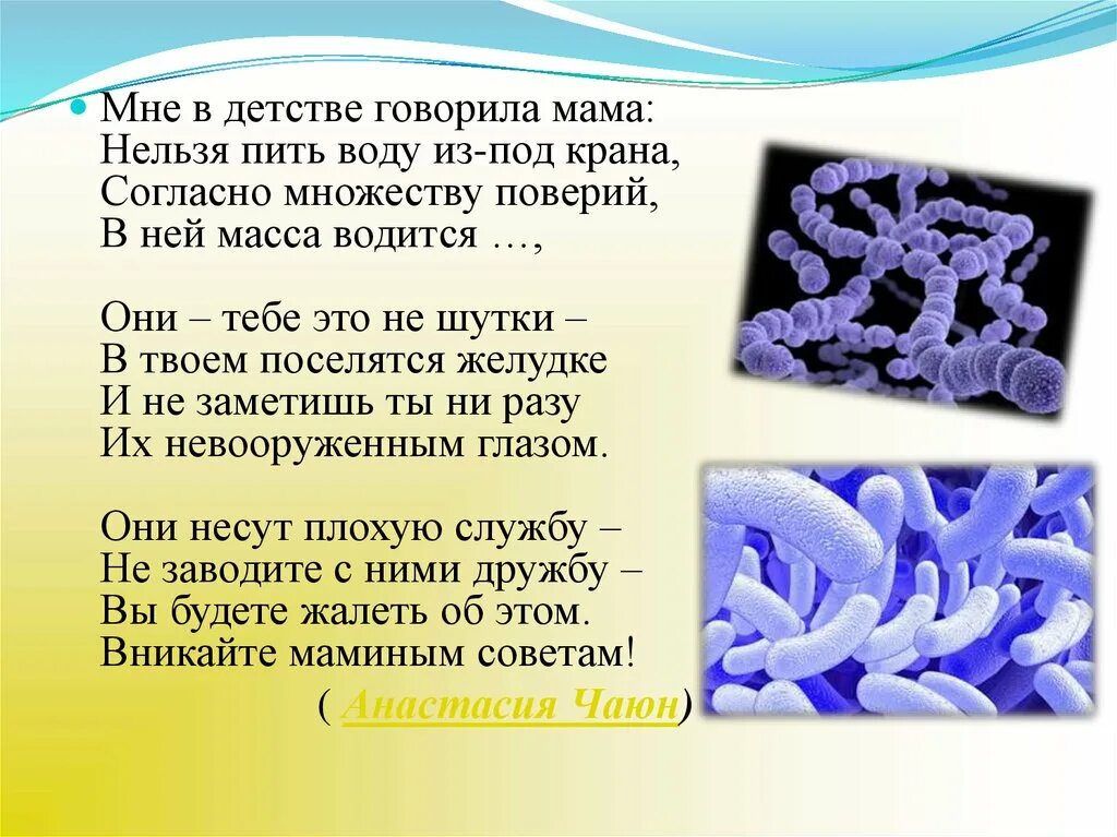 Биология 5 бактерии. Строение и жизнедеятельность бактерий. процессы жизнедеятельности бактерий. строение и жизнедеятельность бактерий 5 класс. бактерии 7 класс биология.