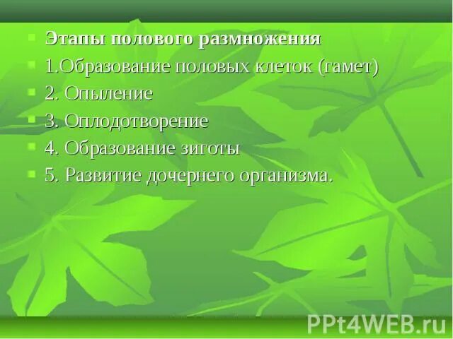 Размножение и оплодотворение растений тест 6 класс. Размножение и оплодотворение у растений 6 класс. Размножение и оплодотворение у растений 6 класс презентация. Процесс опыления и оплодотворения. Тест по теме размножение и оплодотворение у растений.