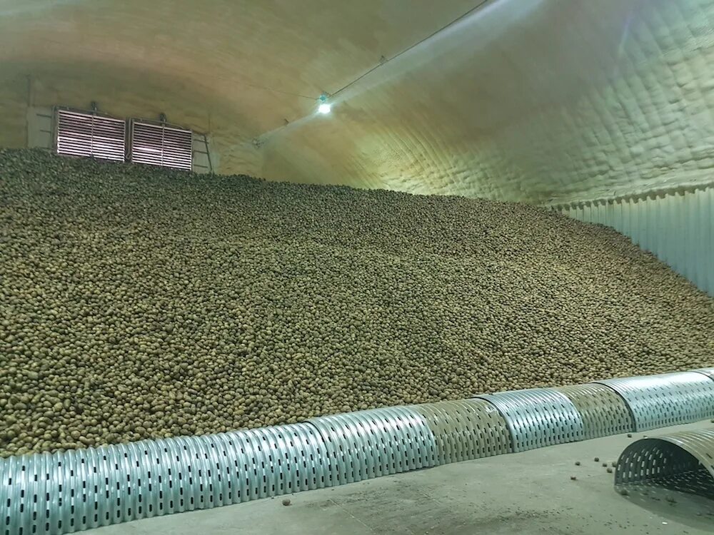 Овощехранилище картофелехранилище. Картофелехранилище 1000т. Вентилирование овощехранилищ воздуховоды напольные. Система вентиляции картофелехранилища.