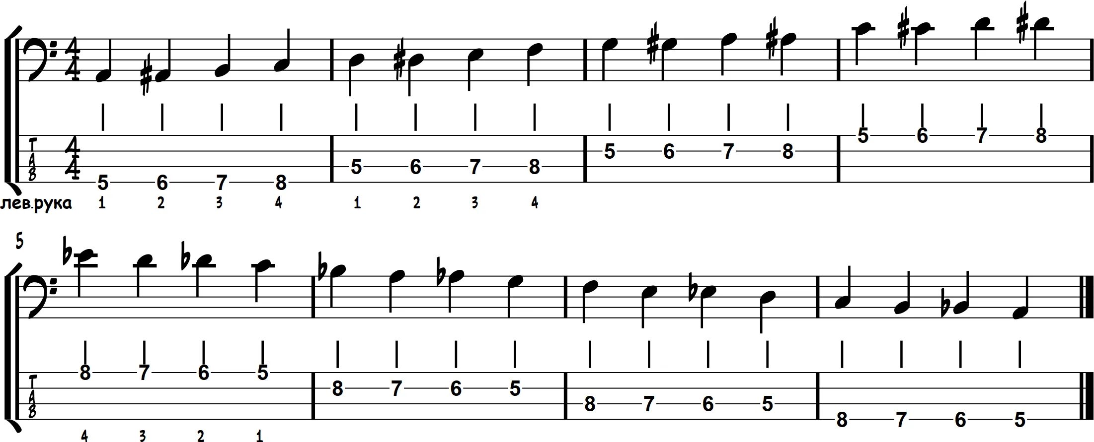Ноты бас 4. Табы для бас гитары для начинающих. Табы для бас гитары для новичков. Табы в Ноты бас гитара. Табулатура для бас гитары для начинающих.