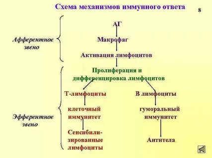 Механизм ответ