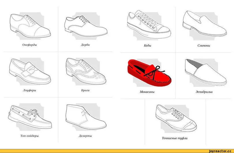 Спортивная обувь название. Названия обуви кроссовок. Виды мужских кроссовок. Мужская обувь типа кроссовок. Отличие кед от кроссовок