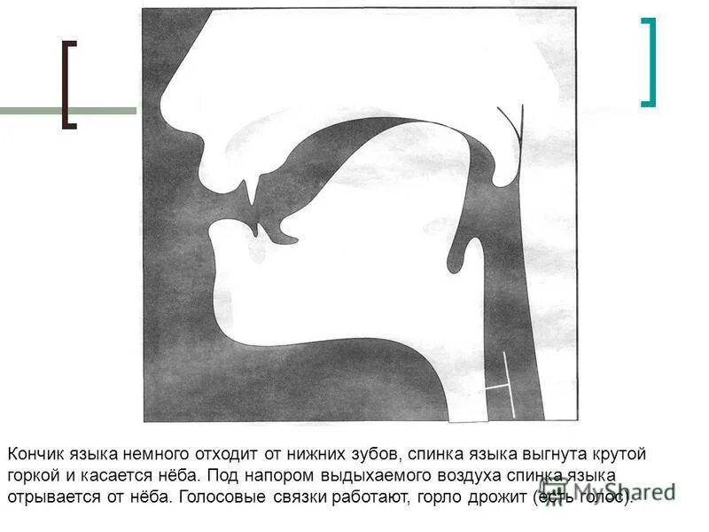 Артикуляция д. Профиль звука г. Артикуляция звука г и гь. Произношение звука г. Артикуляция звука д для дошкольников.