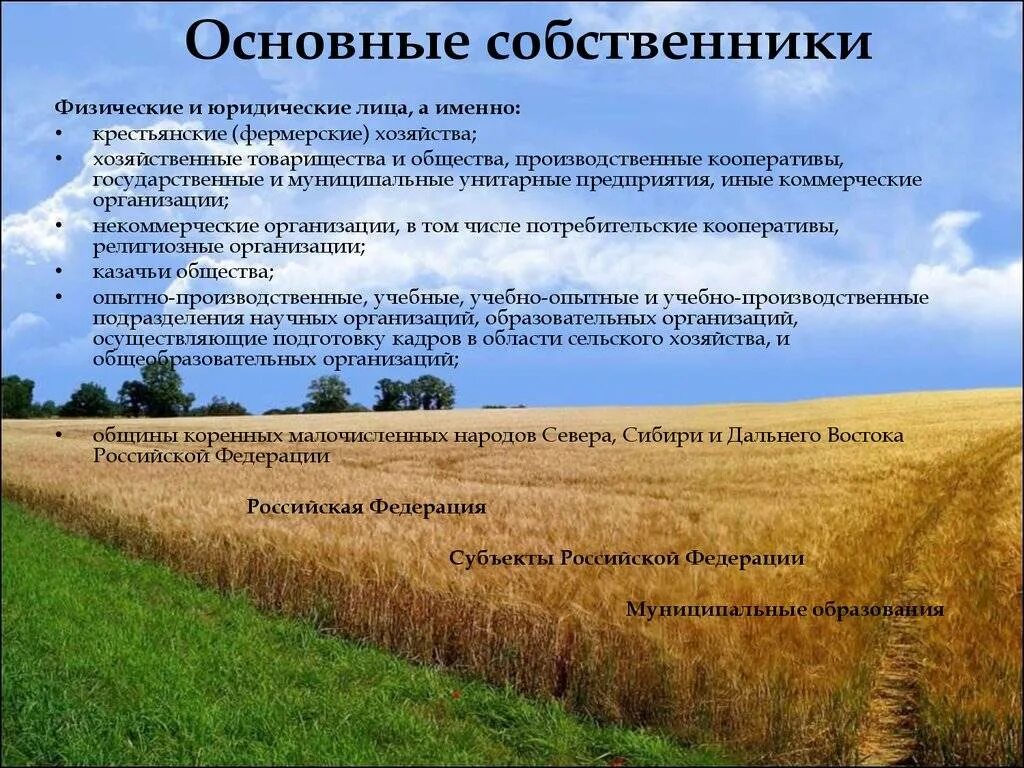 Организация использования земельных ресурсов