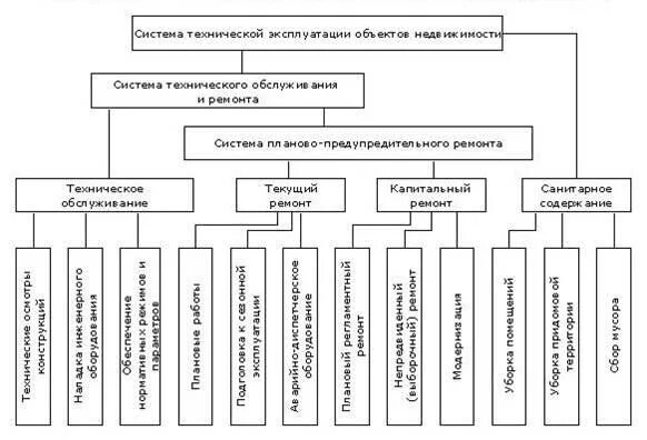 Системы технической эксплуатации зданий. Эксплуатация зданий и сооружений схема. Система технической эксплуатационного зданий. Структура эксплуатации зданий и сооружений схема. Техническая эксплуатация зданий схема.