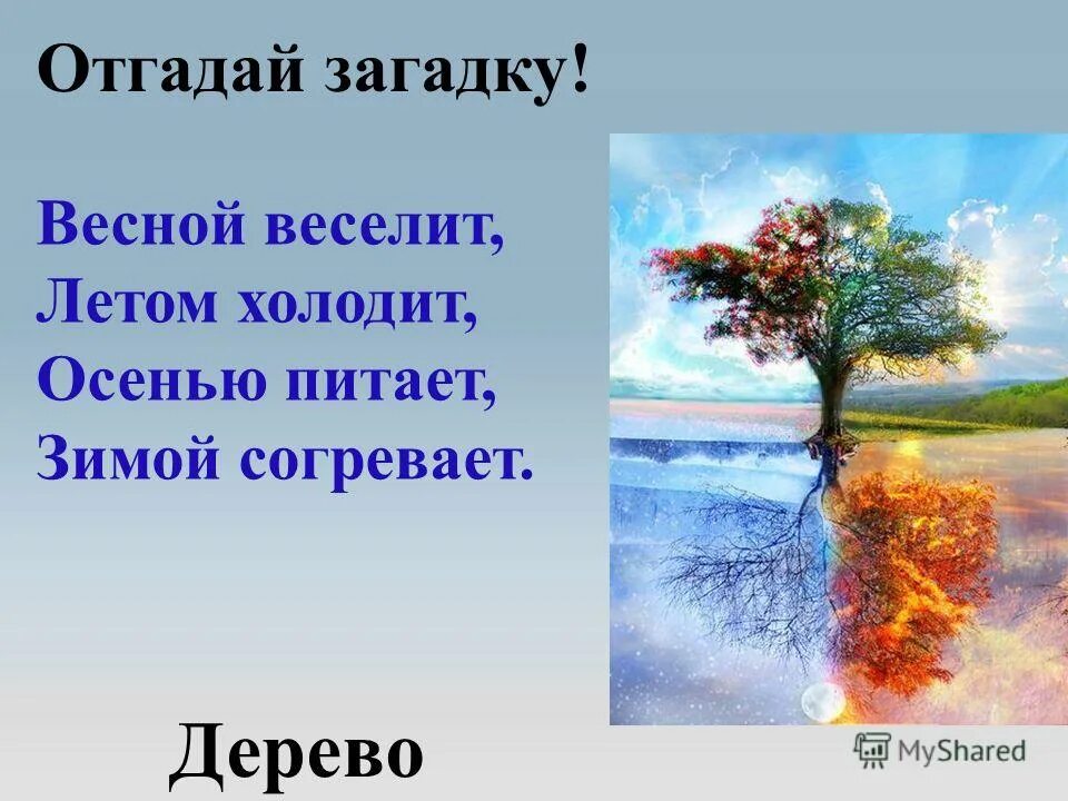 Загадка весной веселит летом холодит осенью питает зимой согревает. Загадка летом холодит зимой согревает. Весной согревает летом холодит осенью. Загадка весной веселит.