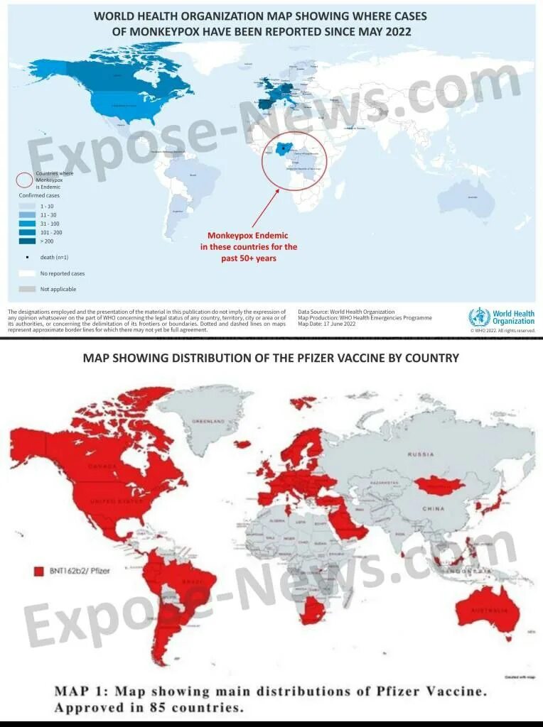 Распространение обезьяньей оспы 2025. Обезьянья оспа распространение. распространение оспы обезьян в мире. оспа обезьян клинические проявления.