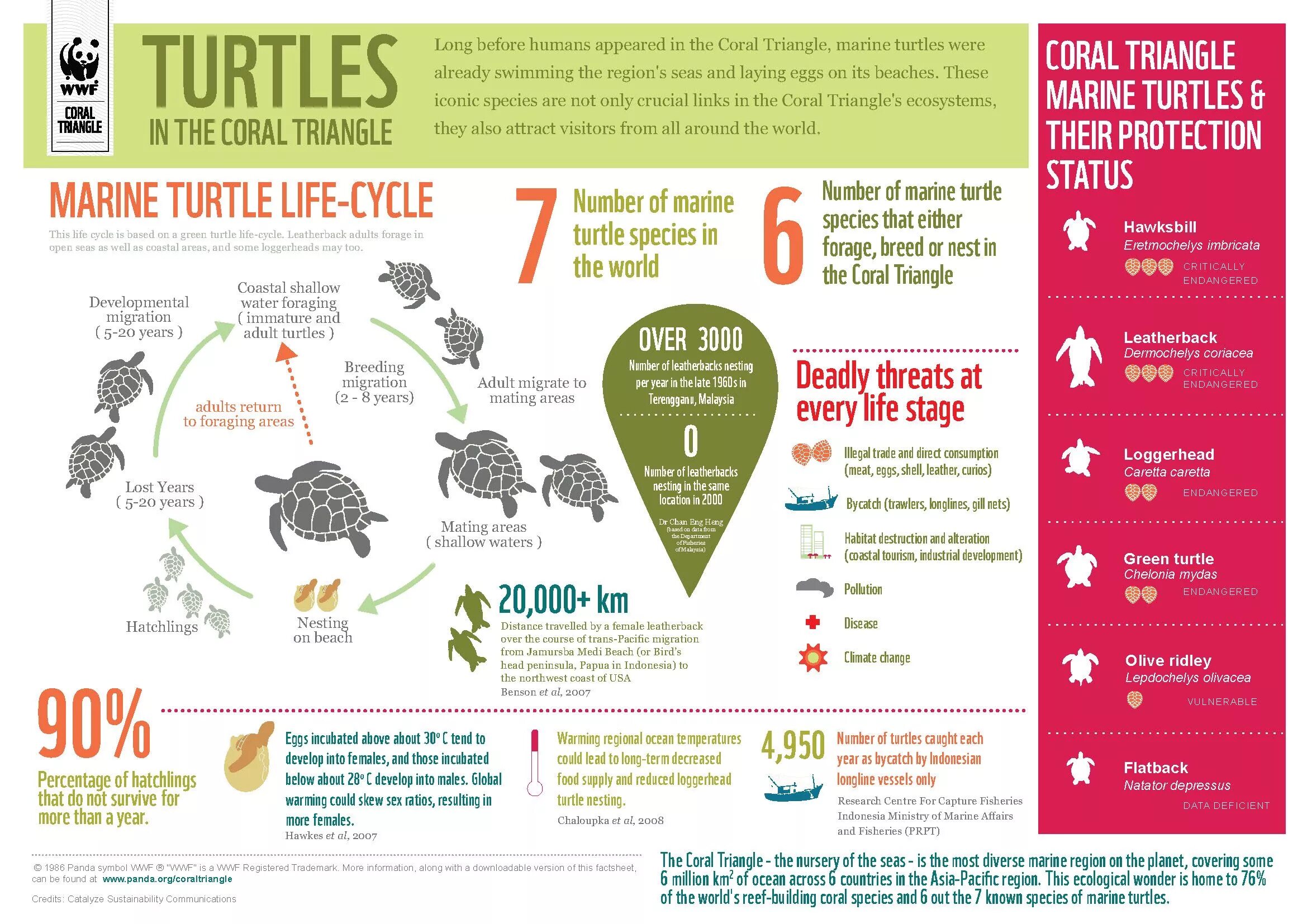Release reduce adopt reusable endangered species. Черепаха инфографика. Инфографика в виде черепахи. Черепушка инфографика. Инфографика животные.