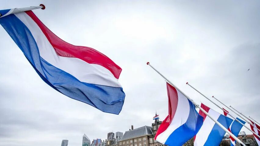 Политика голландии. Нидерланды ассоциации. Гаага парламент. Королевство нидерланды парламент. Нидерланды политика.