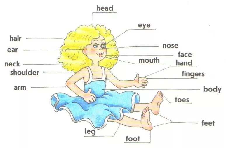 Toes транскрипция