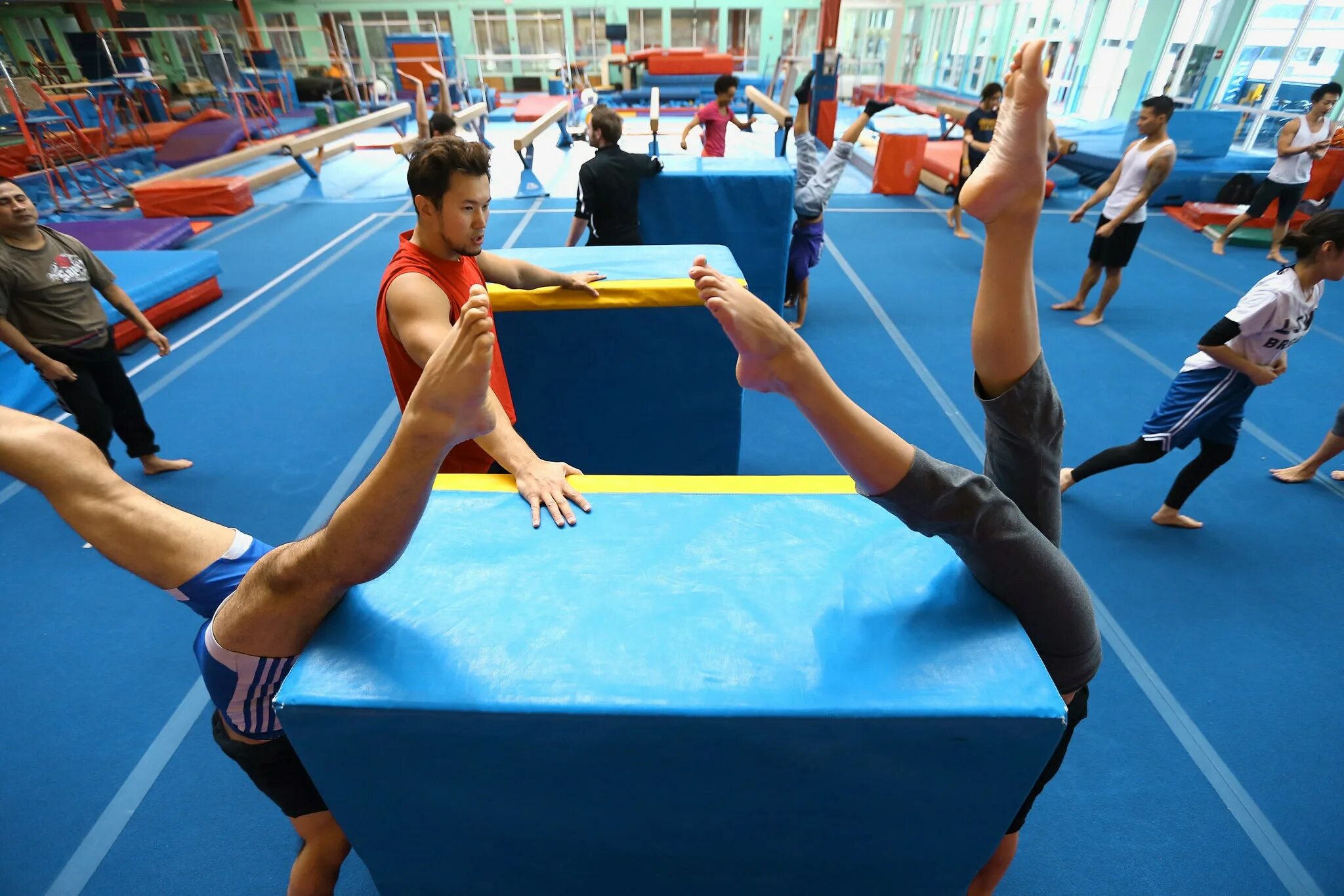 Sports 1 классе. Trampoline Gymnastics. Gymnast classes. Gym class girls Grade. Open Lesson gymnastic.